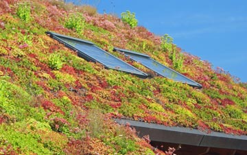 Coombe living roof systems